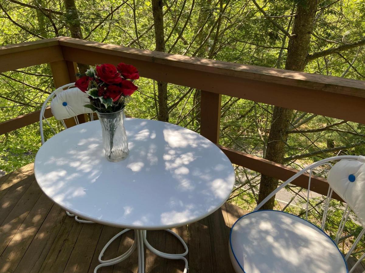 Saw Creek Cabin - Regent Hilltop Bushkill Buitenkant foto