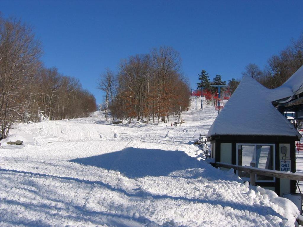 Saw Creek Cabin - Regent Hilltop Bushkill Buitenkant foto