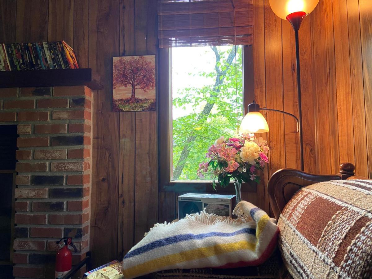 Saw Creek Cabin - Regent Hilltop Bushkill Buitenkant foto