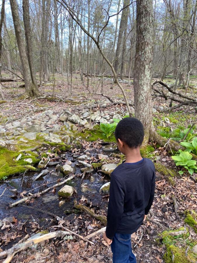 Saw Creek Cabin - Regent Hilltop Bushkill Buitenkant foto