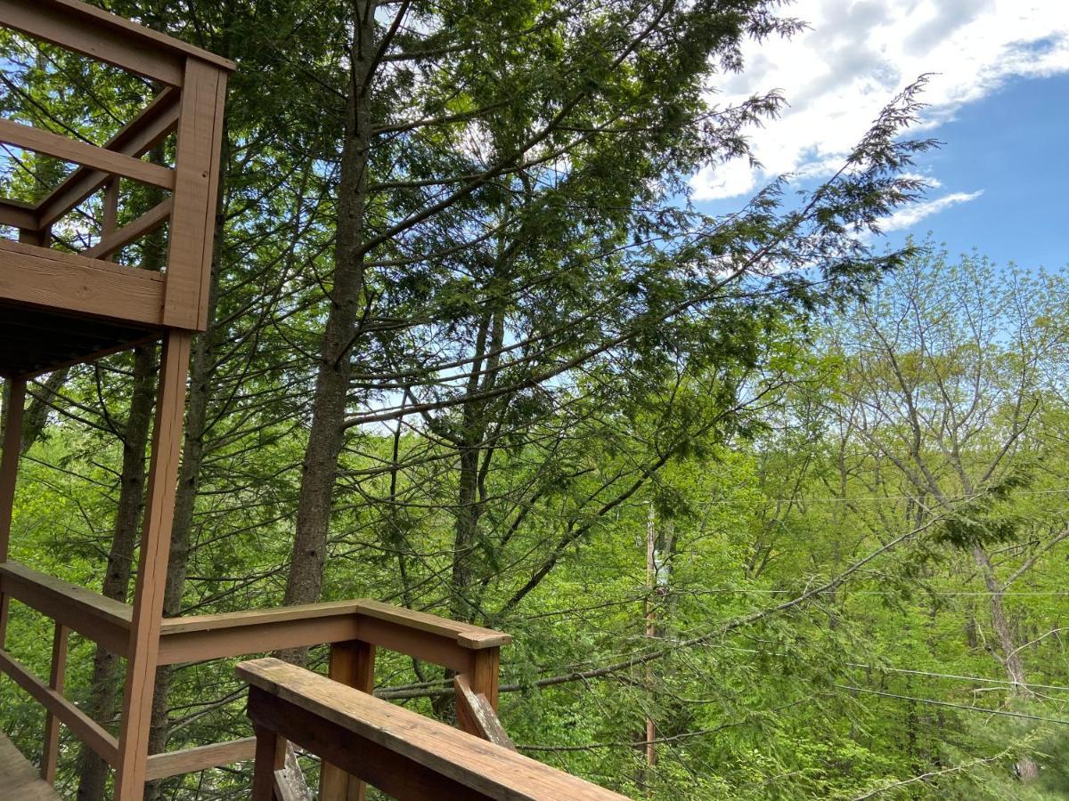 Saw Creek Cabin - Regent Hilltop Bushkill Buitenkant foto