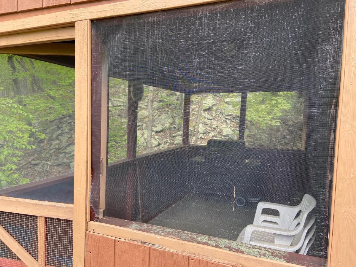 Saw Creek Cabin - Regent Hilltop Bushkill Buitenkant foto