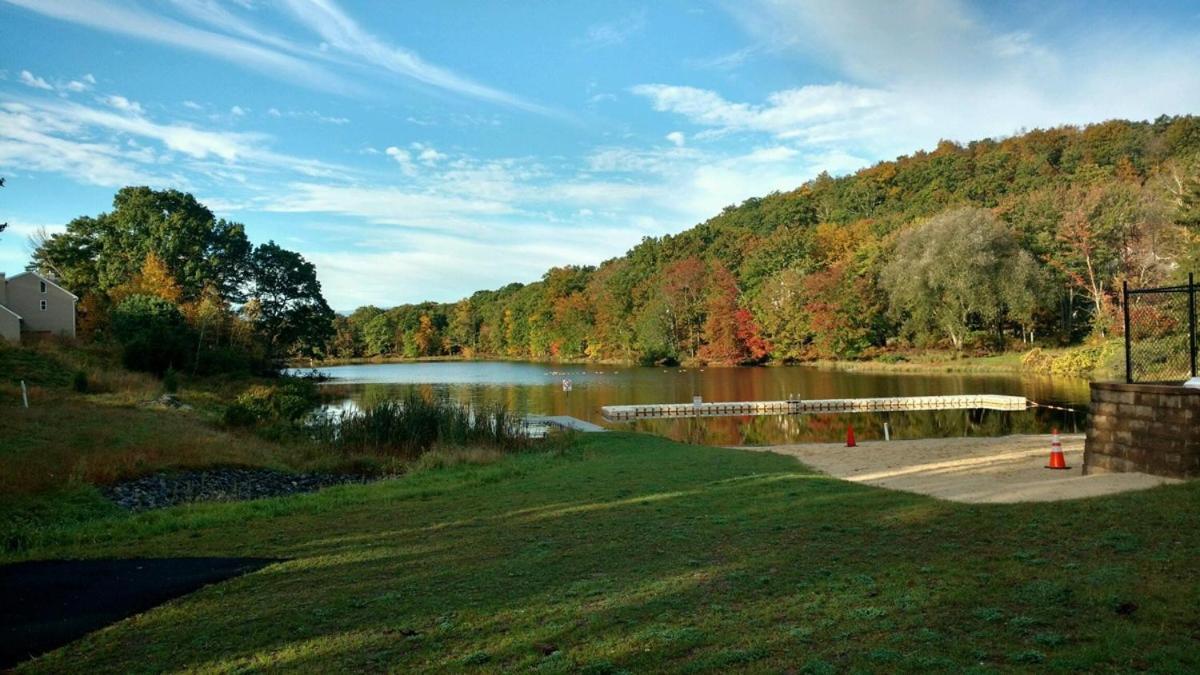 Saw Creek Cabin - Regent Hilltop Bushkill Buitenkant foto